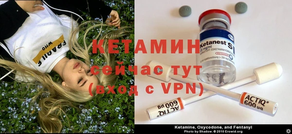 крисы Беломорск