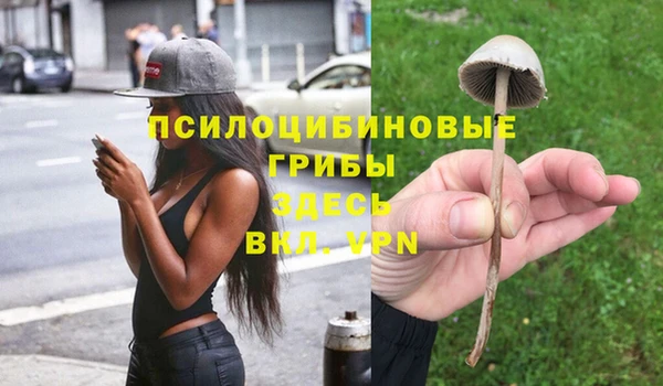 крисы Беломорск
